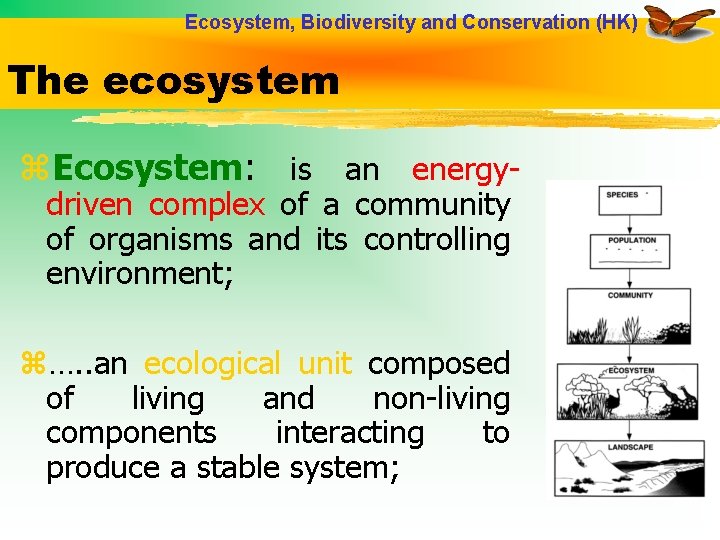 Ecosystem, Biodiversity and Conservation (HK) The ecosystem z. Ecosystem: is an energydriven complex of