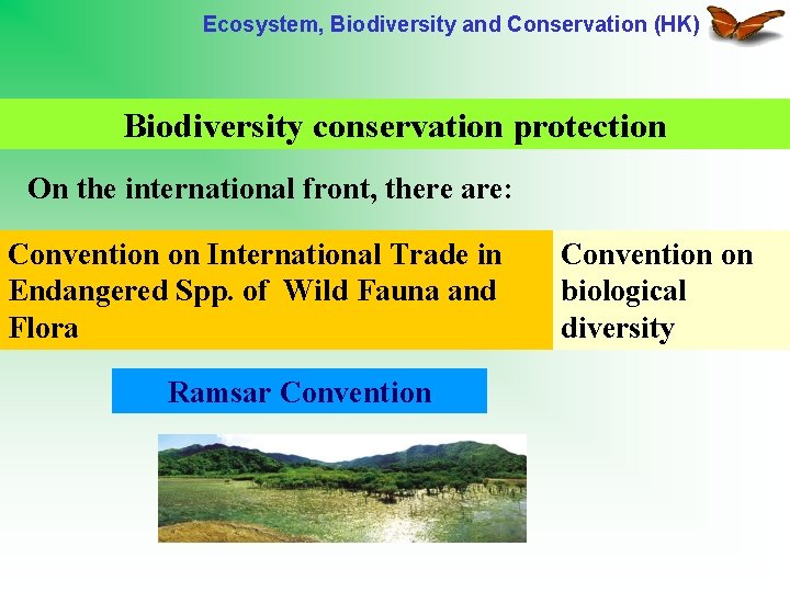 Ecosystem, Biodiversity and Conservation (HK) Biodiversity conservation protection On the international front, there are: