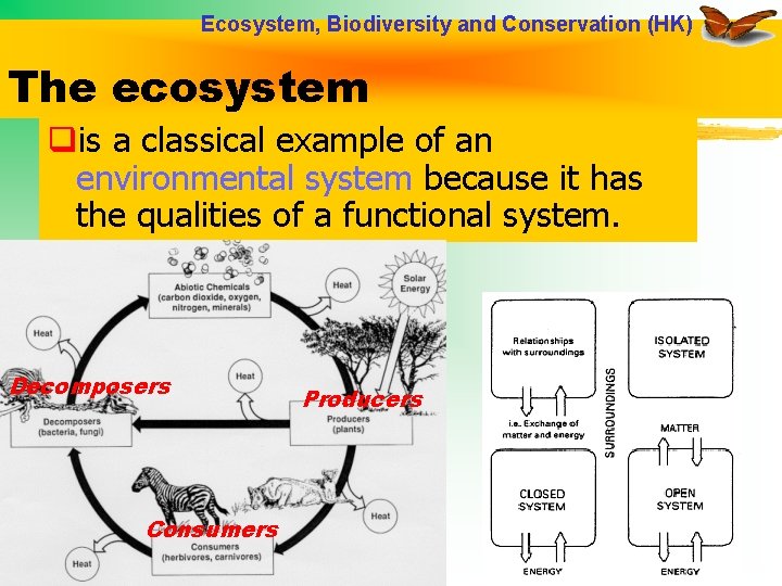 Ecosystem, Biodiversity and Conservation (HK) The ecosystem qis a classical example of an environmental