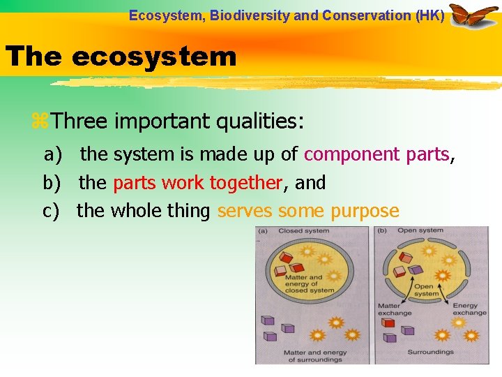 Ecosystem, Biodiversity and Conservation (HK) The ecosystem z. Three important qualities: a) the system