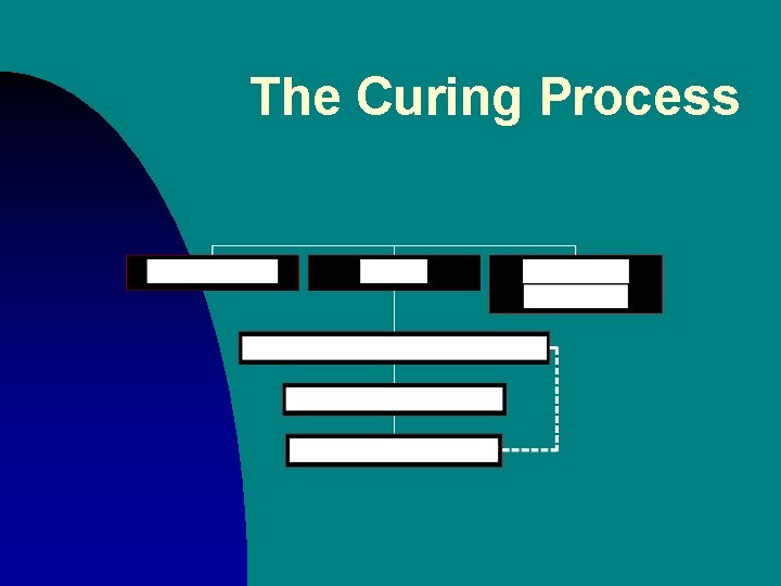 The Curing Process 