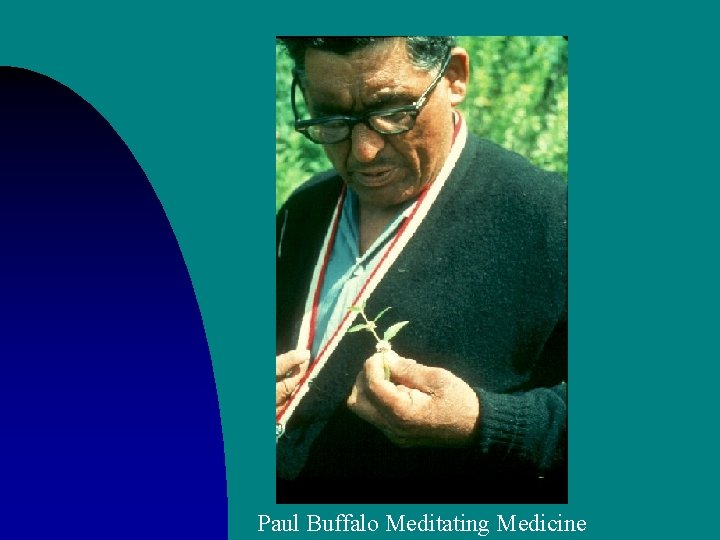 Paul Buffalo Meditating Medicine 