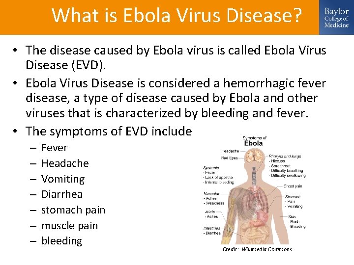 What is Ebola Virus Disease? • The disease caused by Ebola virus is called