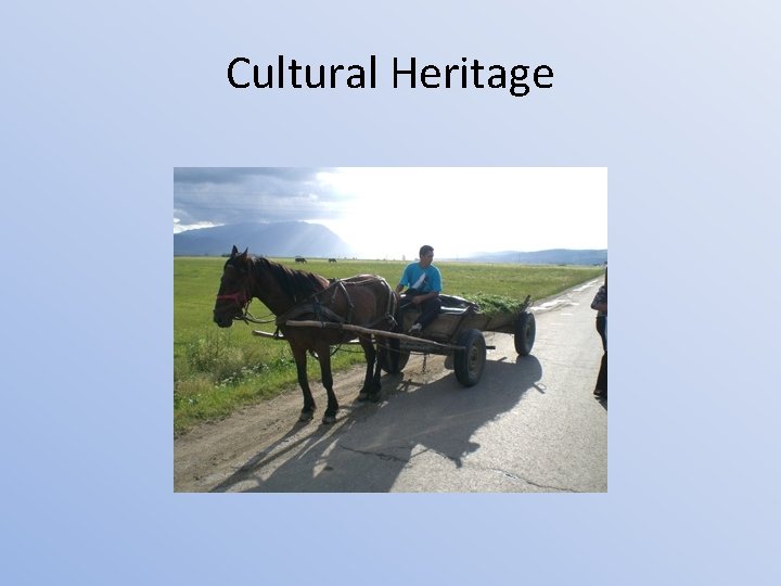 Cultural Heritage 