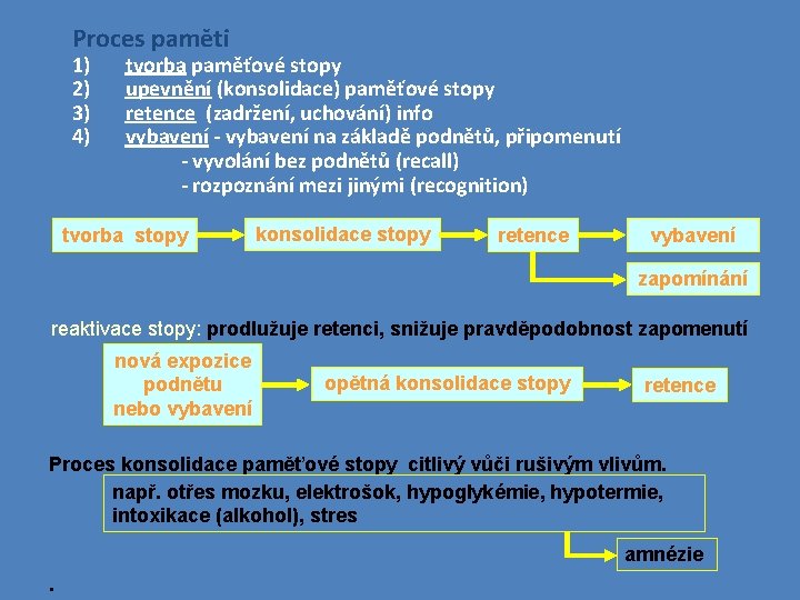 Proces paměti 1) 2) 3) 4) tvorba paměťové stopy upevnění (konsolidace) paměťové stopy retence