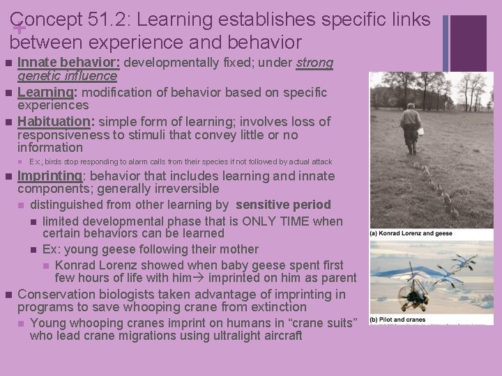 Concept 51. 2: Learning establishes specific links + between experience and behavior n n