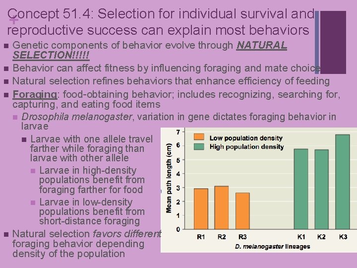 Concept 51. 4: Selection for individual survival and + reproductive success can explain most