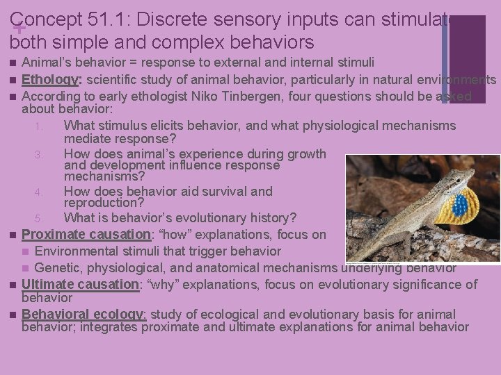 Concept 51. 1: Discrete sensory inputs can stimulate + both simple and complex behaviors