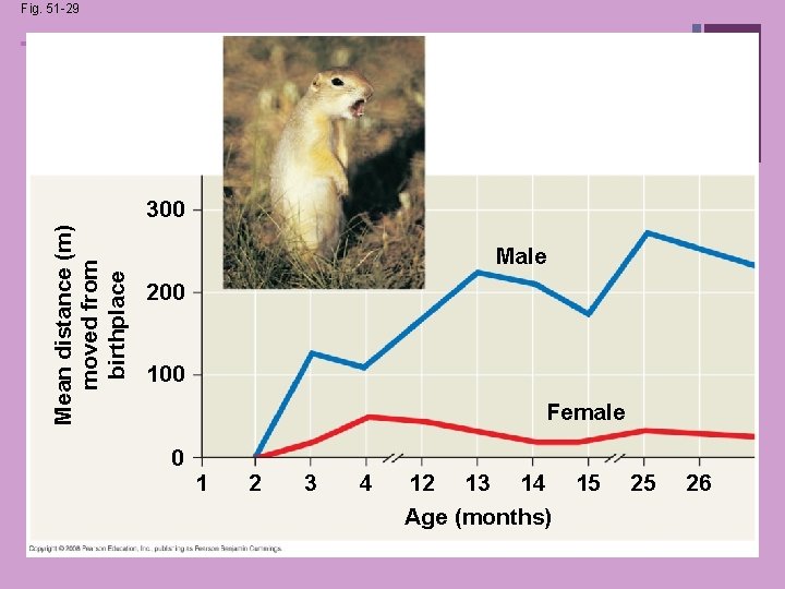 Fig. 51 -29 + Mean distance (m) moved from birthplace 300 Male 200 100