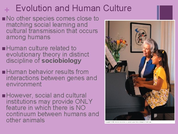 + Evolution and Human Culture n No other species comes close to matching social