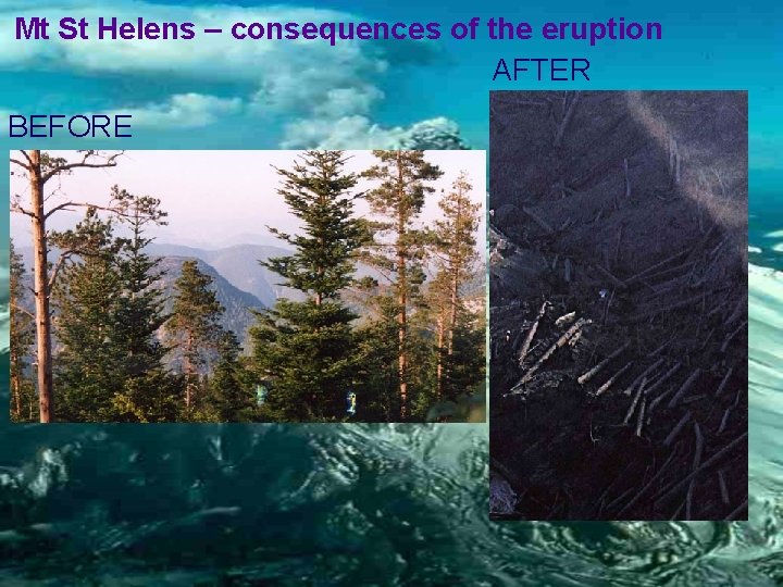 Mt St Helens – consequences of the eruption AFTER BEFORE 