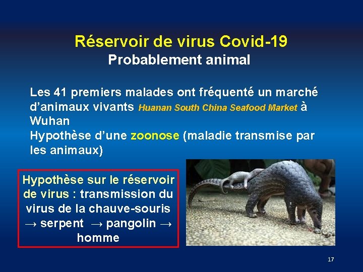 Réservoir de virus Covid-19 Probablement animal Les 41 premiers malades ont fréquenté un marché