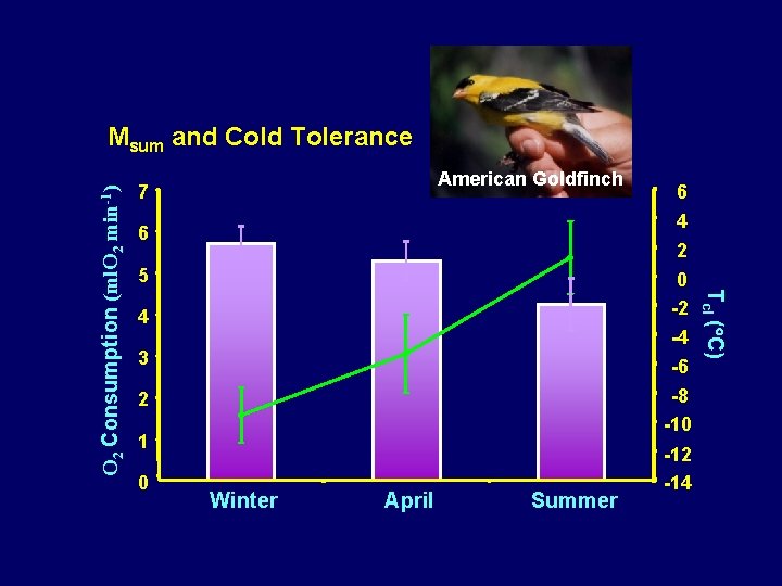 American Goldfinch 7 6 2 0 -2 -4 5 4 3 -6 -8 -10 American Goldfinch 7 6 2 0 -2 -4 5 4 3 -6 -8 -10