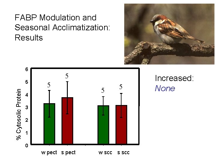 FABP Modulation and Seasonal Acclimatization: Results 6 % Cytosolic Protein 5 5 5 4 FABP Modulation and Seasonal Acclimatization: Results 6 % Cytosolic Protein 5 5 5 4