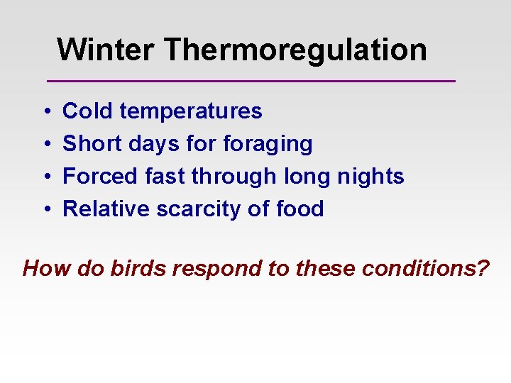 Winter Thermoregulation • • Cold temperatures Short days foraging Forced fast through long nights Winter Thermoregulation • • Cold temperatures Short days foraging Forced fast through long nights