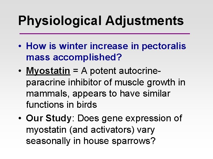 Physiological Adjustments • How is winter increase in pectoralis mass accomplished? • Myostatin = Physiological Adjustments • How is winter increase in pectoralis mass accomplished? • Myostatin =