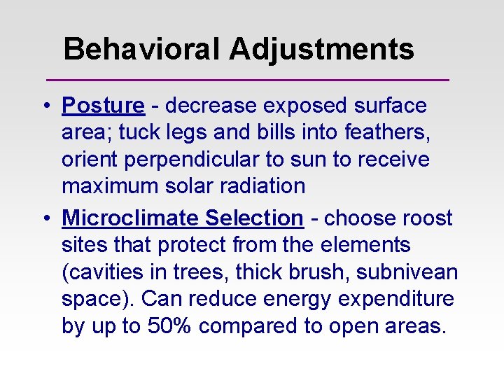 Behavioral Adjustments • Posture - decrease exposed surface area; tuck legs and bills into Behavioral Adjustments • Posture - decrease exposed surface area; tuck legs and bills into