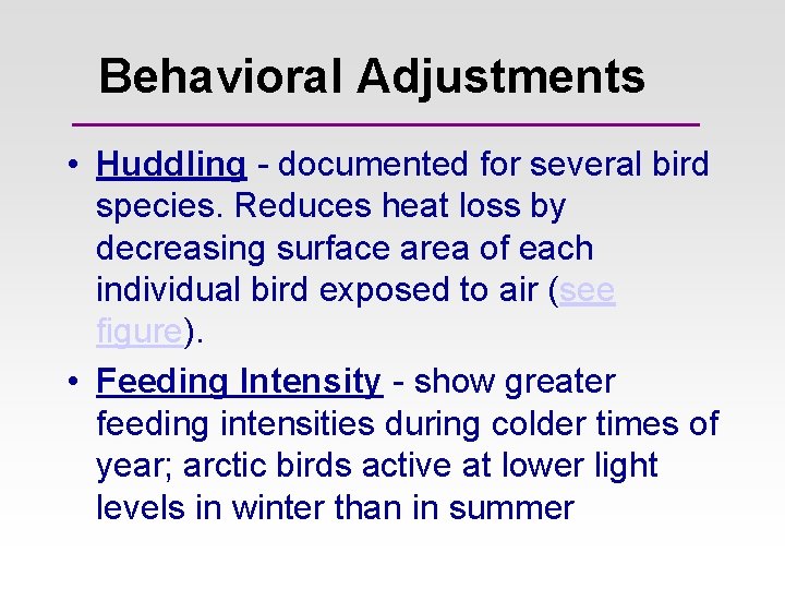 Behavioral Adjustments • Huddling - documented for several bird species. Reduces heat loss by Behavioral Adjustments • Huddling - documented for several bird species. Reduces heat loss by