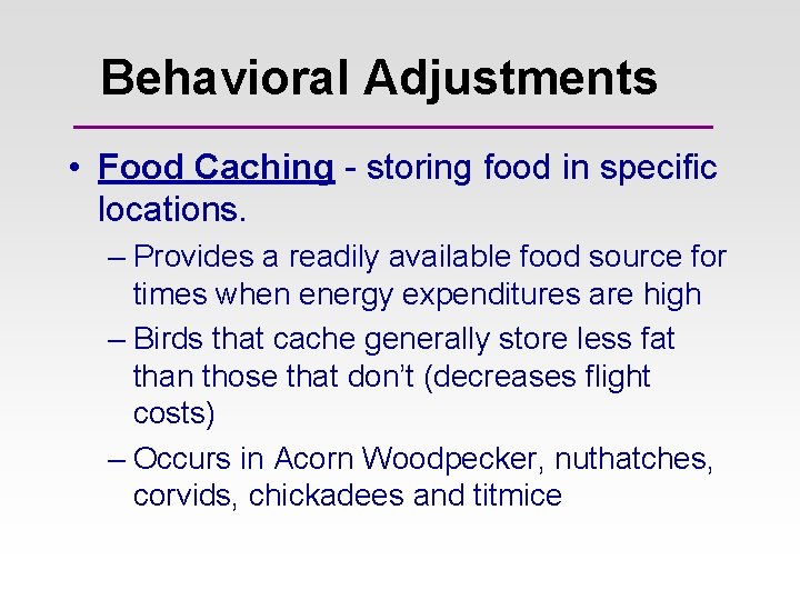 Behavioral Adjustments • Food Caching - storing food in specific locations. – Provides a Behavioral Adjustments • Food Caching - storing food in specific locations. – Provides a