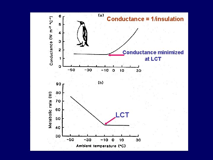 Conductance = 1/insulation Conductance minimized at LCT Conductance = 1/insulation Conductance minimized at LCT