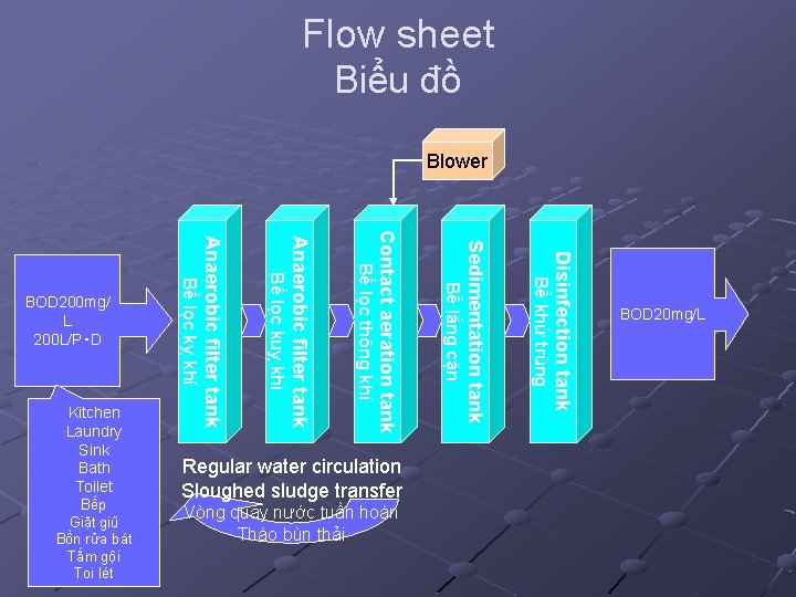 Flow sheet Biểu đồ Blower Regular water circulation Sloughed sludge transfer Vòng quay nước