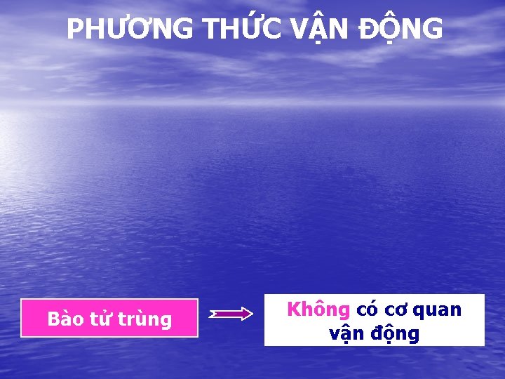 PHƯƠNG THỨC VẬN ĐỘNG Bào tử trùng Không có cơ quan vận động 