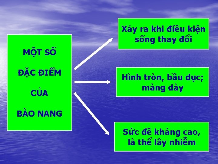 Xảy ra khi điều kiện sống thay đổi MỘT SỐ ĐẶC ĐIỂM CỦA Hình