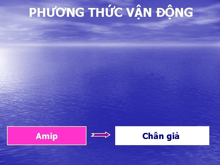 PHƯƠNG THỨC VẬN ĐỘNG Amip Chân giả 