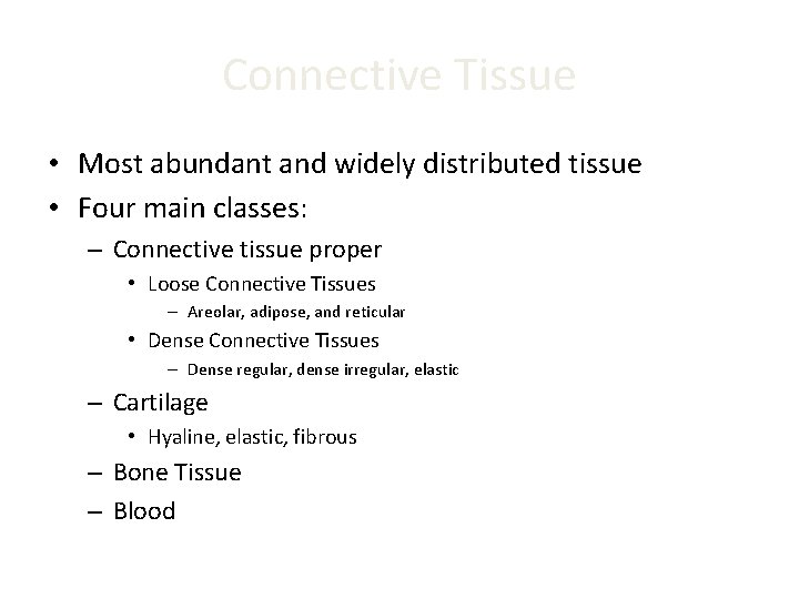 Connective Tissue • Most abundant and widely distributed tissue • Four main classes: –