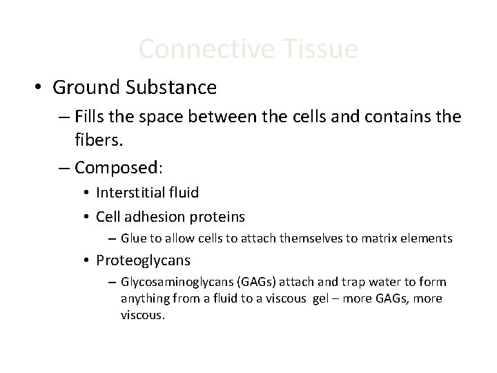 Connective Tissue • Ground Substance – Fills the space between the cells and contains