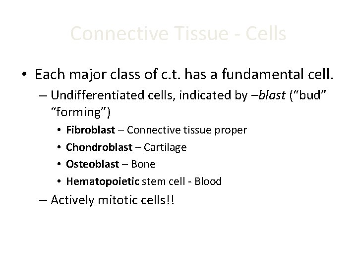 Connective Tissue - Cells • Each major class of c. t. has a fundamental Connective Tissue - Cells • Each major class of c. t. has a fundamental