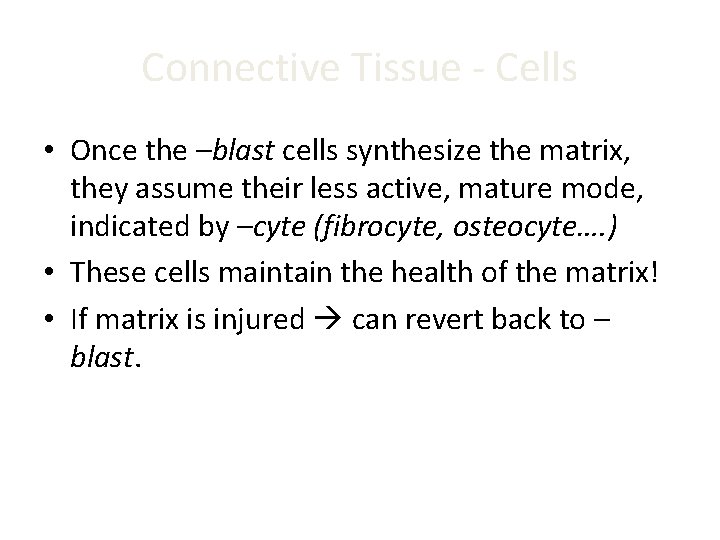 Connective Tissue - Cells • Once the –blast cells synthesize the matrix, they assume