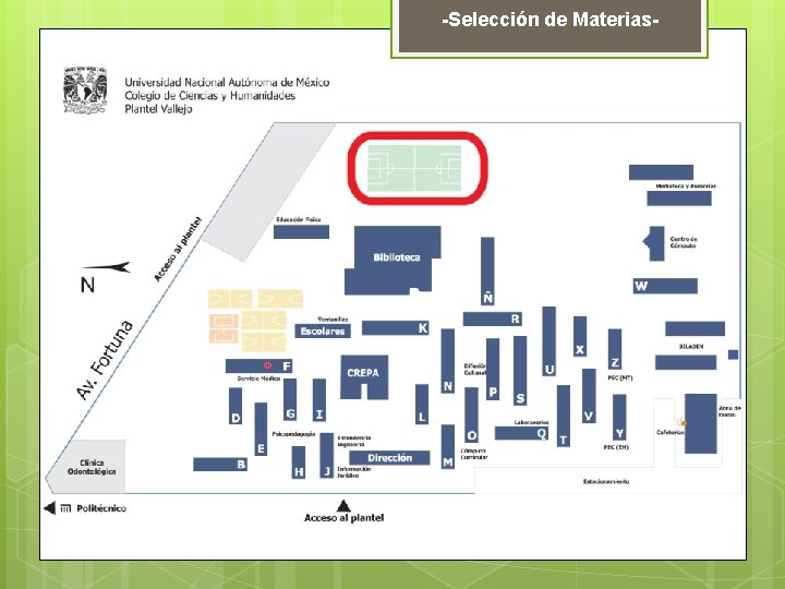 -Selección de Materias- 