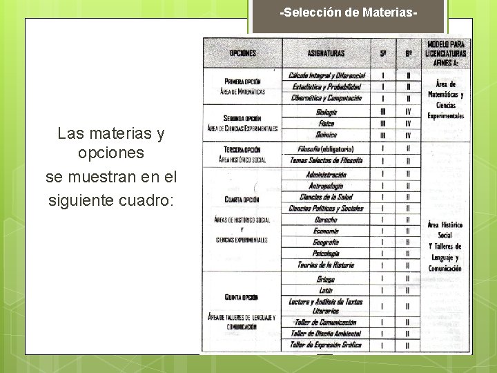 -Selección de Materias- Las materias y opciones se muestran en el siguiente cuadro: 