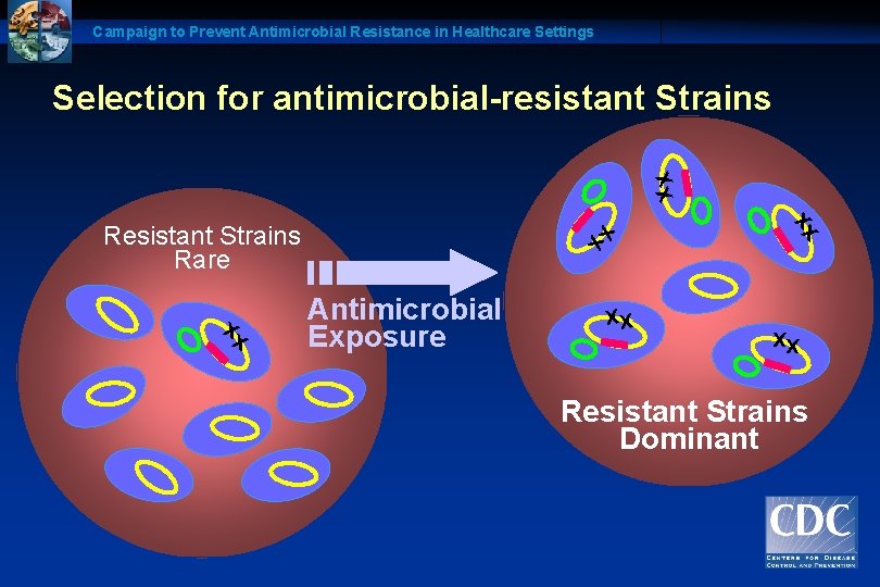Campaign to Prevent Antimicrobial Resistance in Healthcare Settings xx Selection for antimicrobial-resistant Strains xx