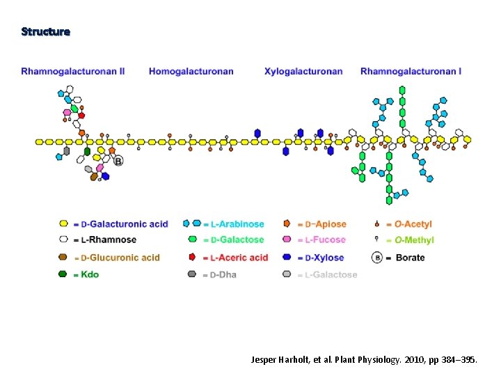 Structure Jesper Harholt, et al. Plant Physiology. 2010, pp 384– 395. 