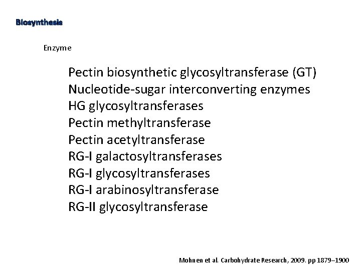 Biosynthesis Enzyme Pectin biosynthetic glycosyltransferase (GT) Nucleotide-sugar interconverting enzymes HG glycosyltransferases Pectin methyltransferase Pectin