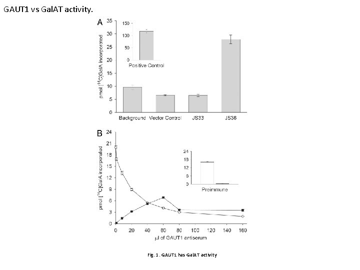 GAUT 1 vs Gal. AT activity. Fig. 1. GAUT 1 has Gal. AT activity