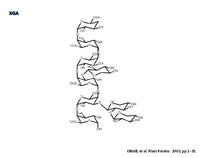 XGA ONeill, et al. Plant Review. 2003, pp 1– 35. 