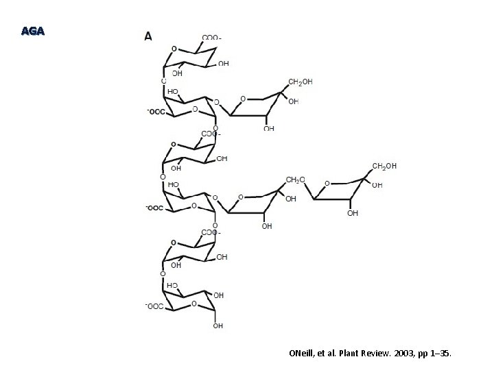 AGA ONeill, et al. Plant Review. 2003, pp 1– 35. 