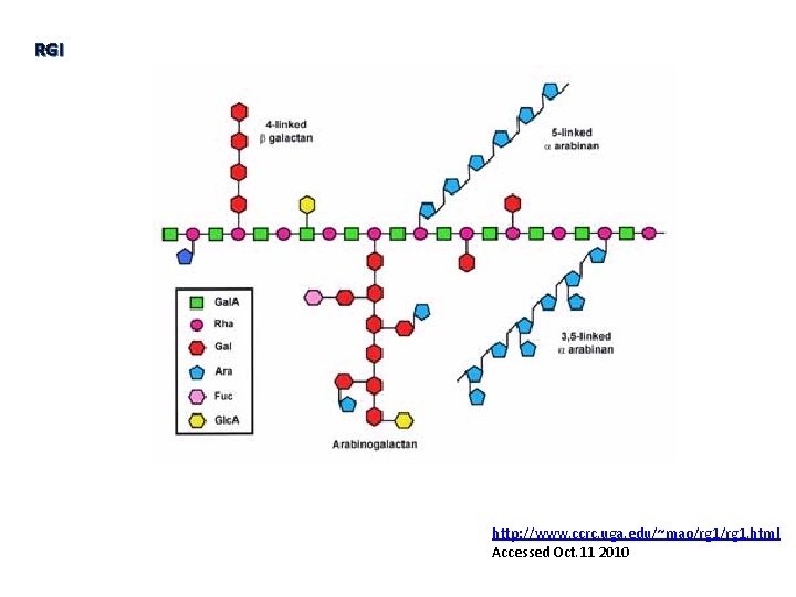 RGI http: //www. ccrc. uga. edu/~mao/rg 1. html Accessed Oct. 11 2010 