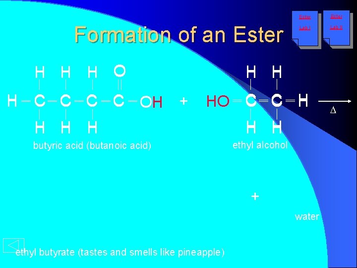 Formation of an Ester H H H O H C C OH OH +