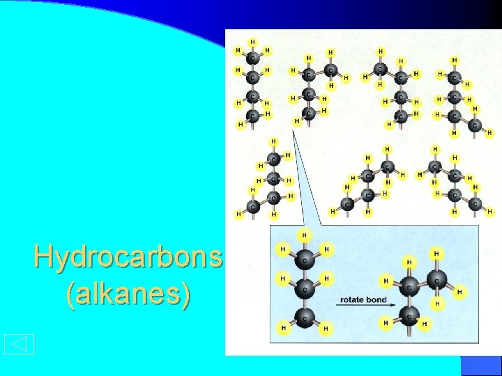 Hydrocarbons (alkanes) 