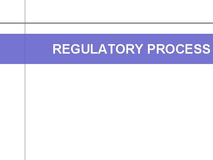 REGULATORY PROCESS 