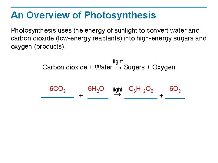 An Overview of Photosynthesis uses the energy of sunlight to convert water and carbon