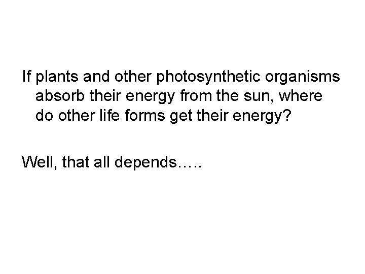 If plants and other photosynthetic organisms absorb their energy from the sun, where do