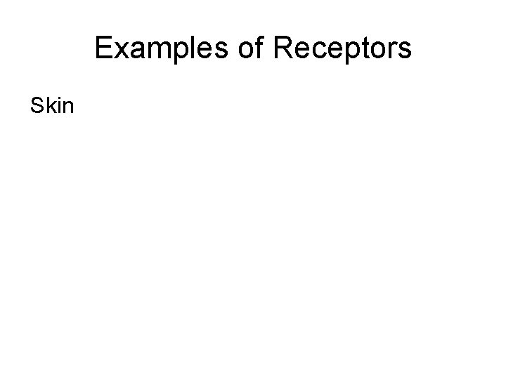 Examples of Receptors Skin 