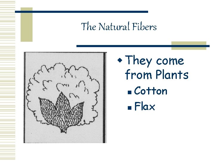 The Natural Fibers w They come from Plants Cotton n Flax n 