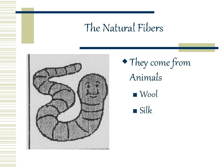 The Natural Fibers w They come from Animals Wool n Silk n 