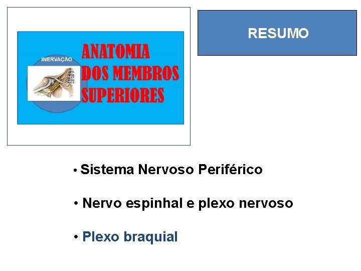RESUMO • Sistema Nervoso Periférico • Nervo espinhal e plexo nervoso • Plexo braquial